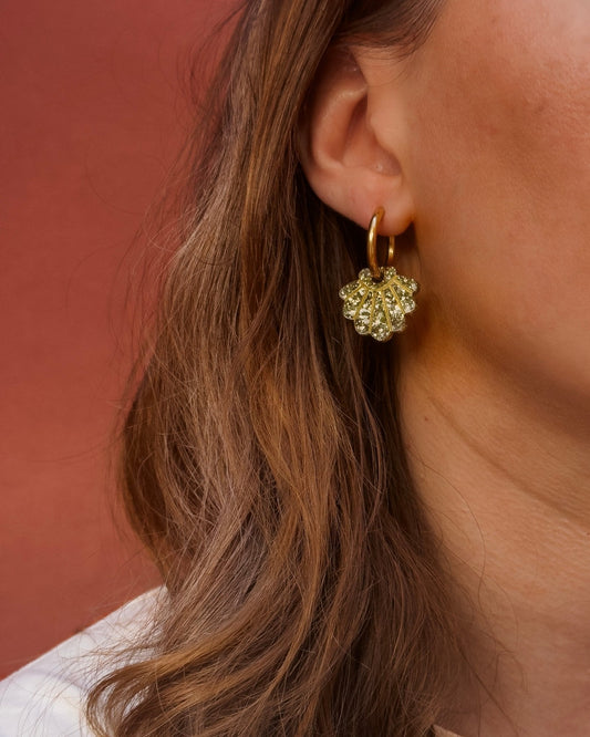 COLETTE 𓇼 - Nonna Costa