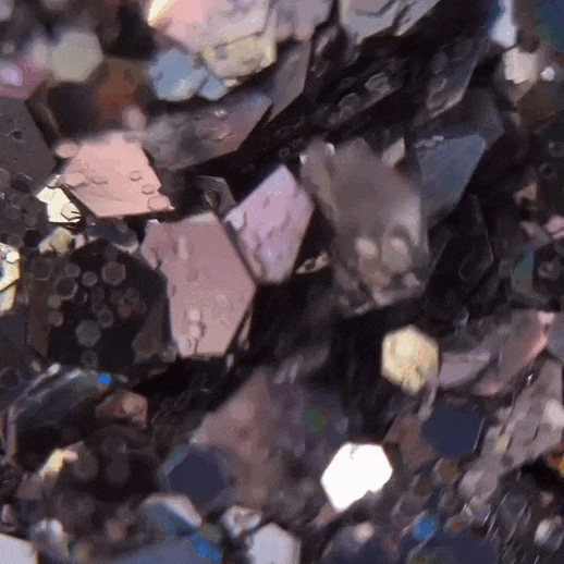 ✨ PAILLETTES Y'HOLO - Nonna Costa